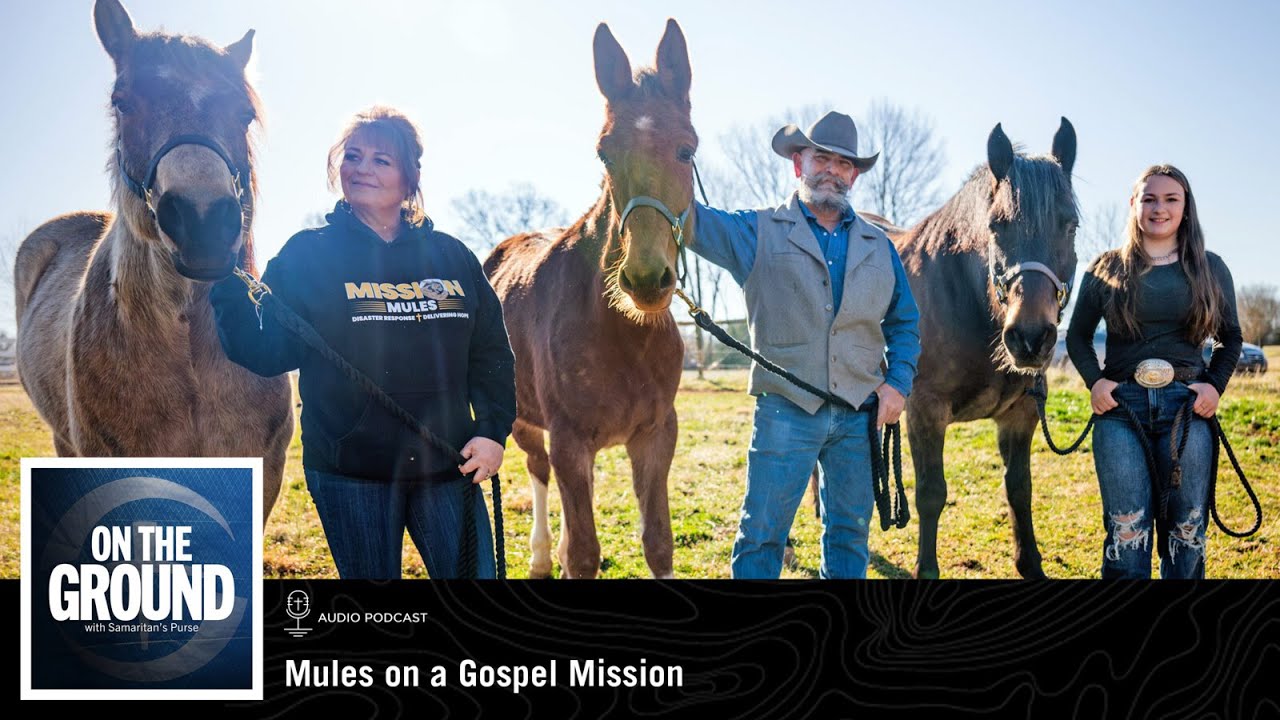 Mules on a Gospel Mission | On The Ground Podcast - Harbingers TV